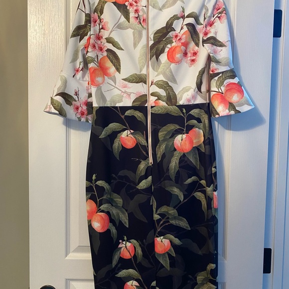 Ted Baker Dress - Picture 3 of 3